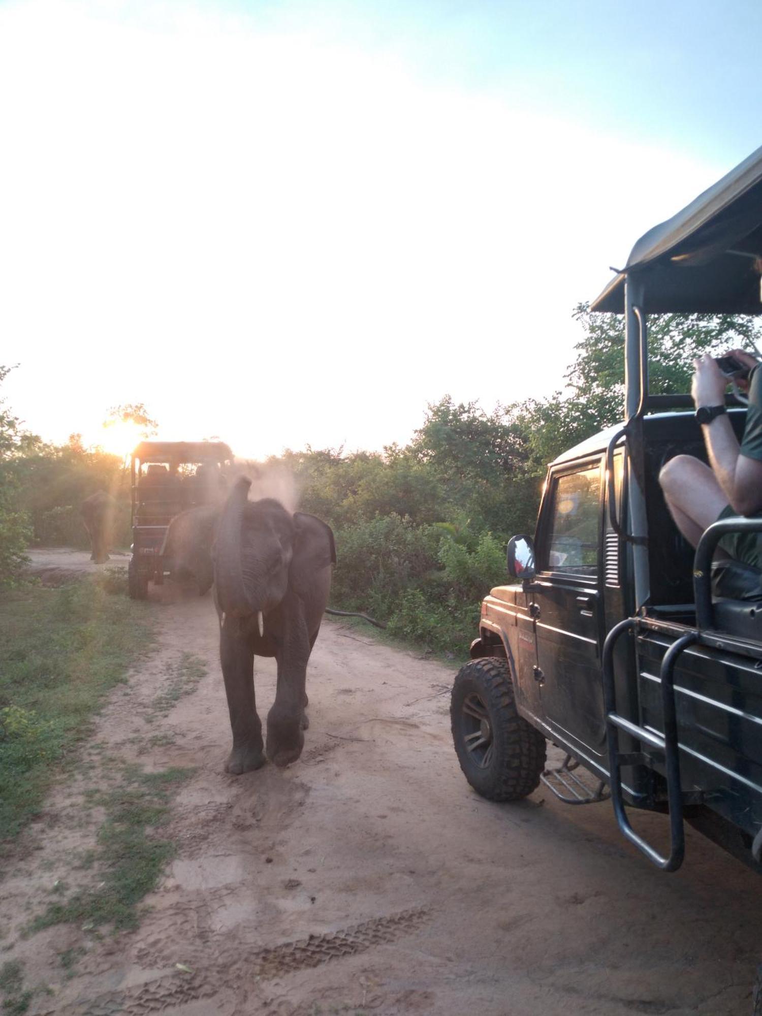 Bed and Breakfast Share Safari House Udawalawe Esterno foto
